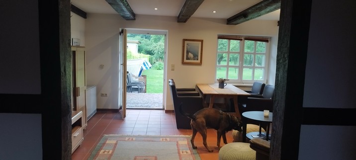 Feriendomizil mit Blick auf die Terrasse und großer Wiese, ein Tisch mit vier Sesseln, braun gefliest mit einem farbigen Teppich, schwarzbrauner Hund am Schnüffeln 